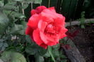 IMG_20160524_191148