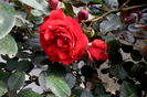 IMG_20160524_190919