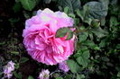 IMG_20160524_190902