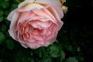 IMG_20160524_190843