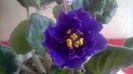 WP_20160524_17_42_20_Pro