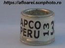 APCO PERU 13