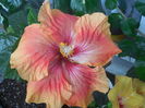 DSCN0705