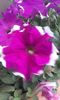 20160524_185056