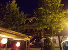 DSCN1194