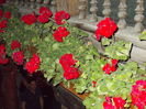 DSCN1145