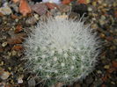 DSCN6477