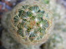 DSCN6517
