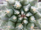 necunoscuta