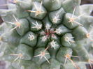 necunoscuta