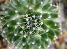 DSCN6649