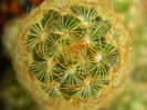 DSCN6670