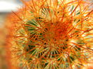 DSCN6672