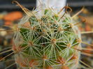 DSCN6686