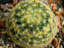 DSCN6726
