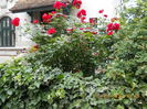 DSCN1421