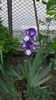 WP_20160517_08_08_26_Pro_LI