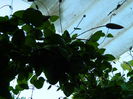 DSCN9594