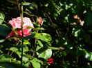 DSCN9618