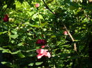 DSCN9619