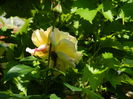 DSCN9628
