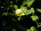 DSCN9631