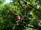 DSCN9632
