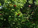 DSCN9639