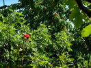 DSCN9643