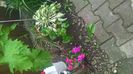 WP_20160525_14_57_03_Pro
