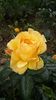 20160525_170255