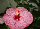 DSC05440