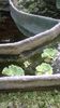 WP_20160515_15_39_24_Pro