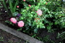 IMG_20160525_185305