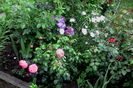 IMG_20160525_184958
