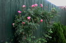 IMG_20160525_184826