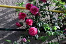 IMG_20160525_184520