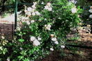 IMG_20160525_184236