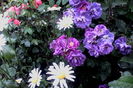 IMG_20160525_184042