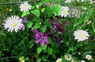 IMG_20160525_184013