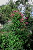 IMG_20160525_183952