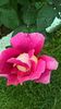 WP_20160525_10_04_29_Pro