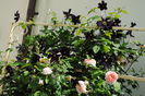 Abraham DArby si Romantika