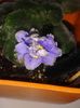20160525_171741