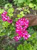 IMG_20160525_161313