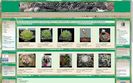 Cactus Hobby Romania - prima pagina