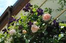 Abraham DArby si Romantika