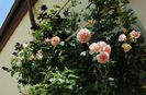 Abraham DArby si Romantika