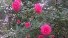 20160524_181355