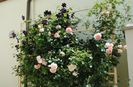 Abraham DArby si Romantika